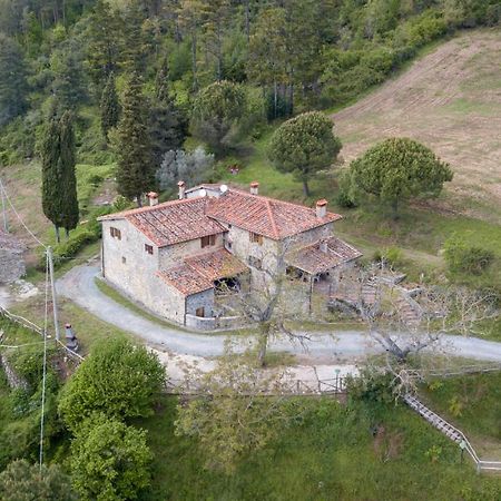 Villa Fattoria Di Cintoia à Pontassieve Extérieur photo