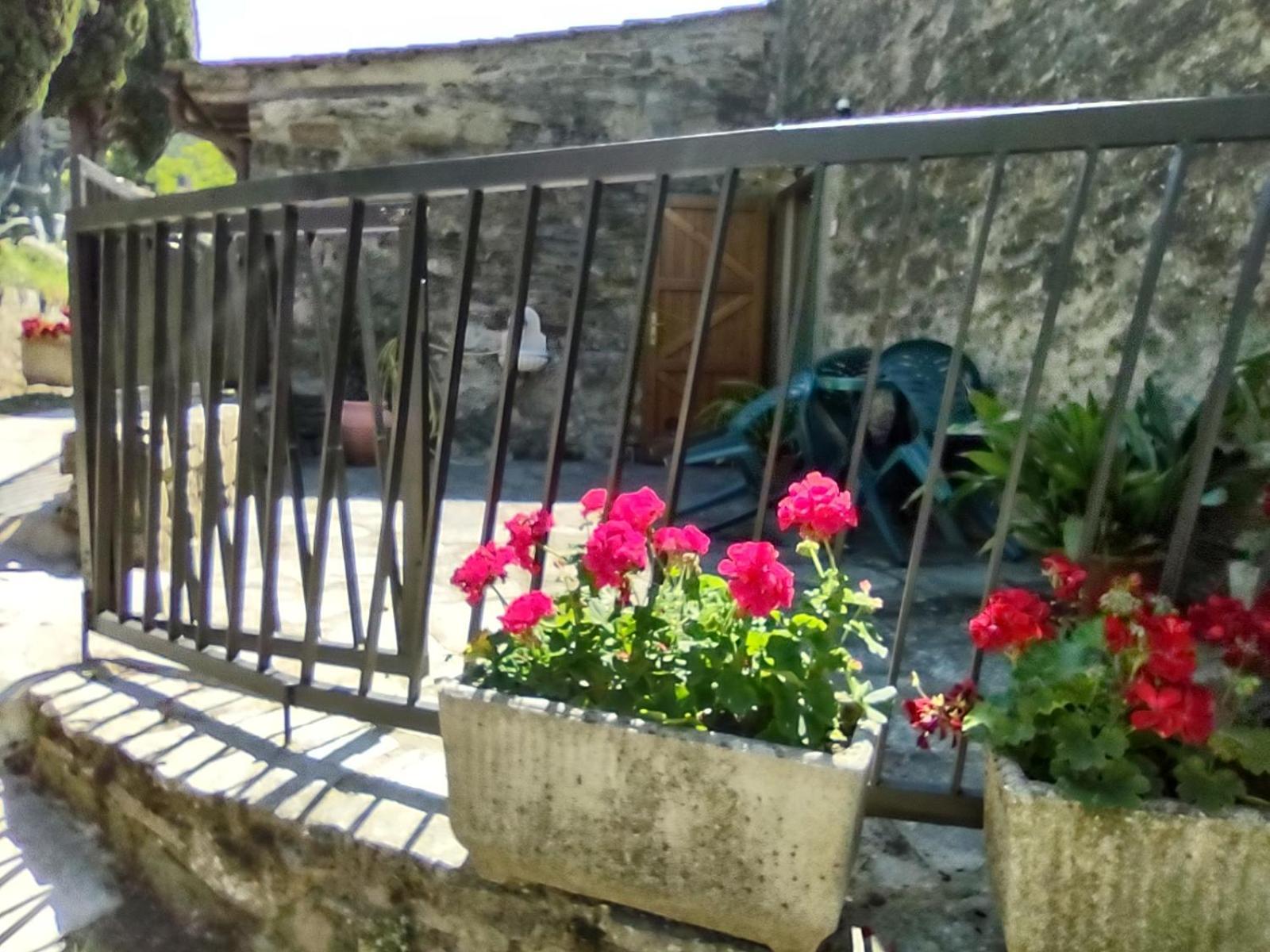 Villa Fattoria Di Cintoia à Pontassieve Extérieur photo