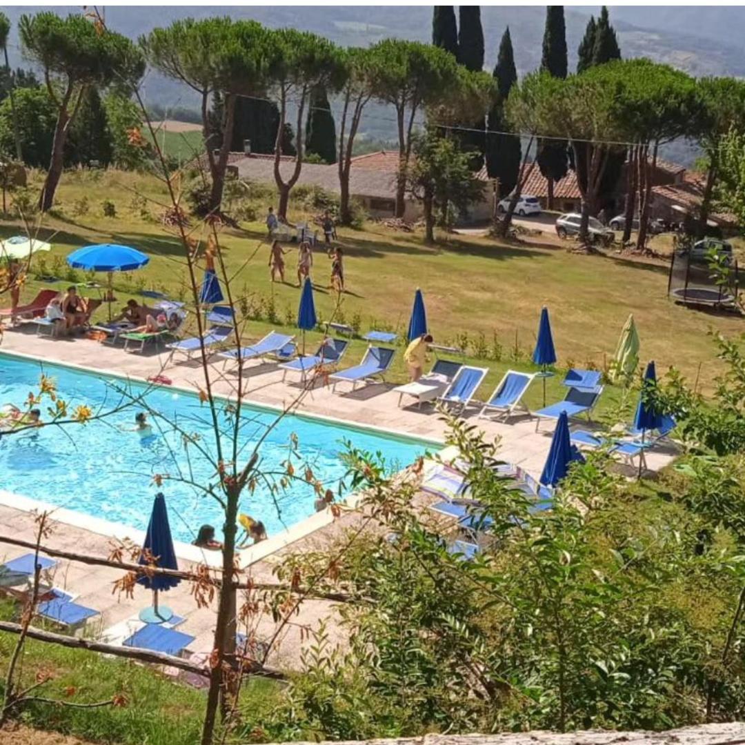 Villa Fattoria Di Cintoia à Pontassieve Extérieur photo