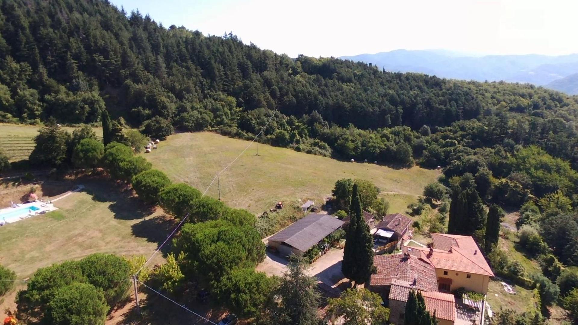 Villa Fattoria Di Cintoia à Pontassieve Extérieur photo